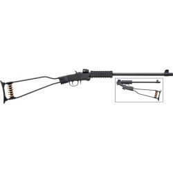 CHIAPPA LITTLE BADGER 22LR