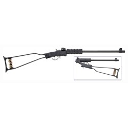 CHIAPPA LITTLE BADGER 17HMR