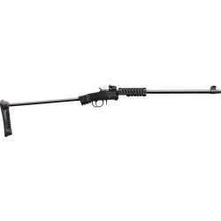 CHIAPPA LITTLE BADGER 22LR