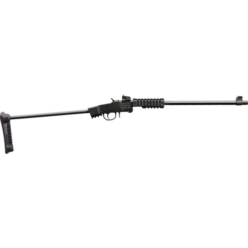 CHIAPPA LITTLE BADGER 22LR