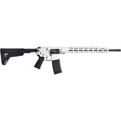 RUGER AR556 MPR 223 30-SHOT