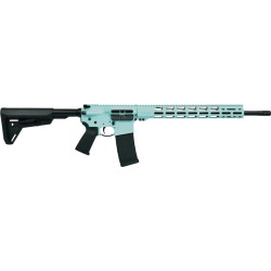 RUGER AR556 MPR 223 30-SHOT