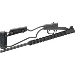 CHIAPPA BIG BADGER 30-30 WIN
