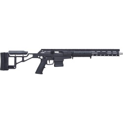 CITADEL TAIPAN 300BLK PUMP