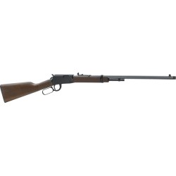 HENRY FRONTIER 22WMR