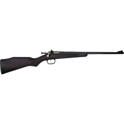 CRICKETT RIFLE G2 22WMR