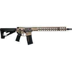 RADIAN RIFLE MDL 1 223 WYLDE