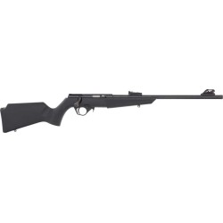 ROSSI RB22 COMPACT 22LR BOLT