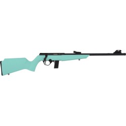 ROSSI RB22 COMPACT 22LR BOLT
