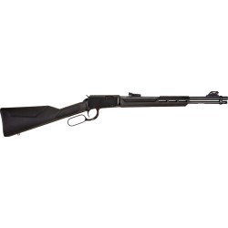 ROSSI RIO BRAVO 22LR LEVER