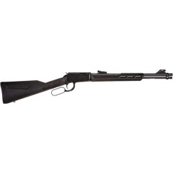 ROSSI RIO BRAVO 22WMR LEVER