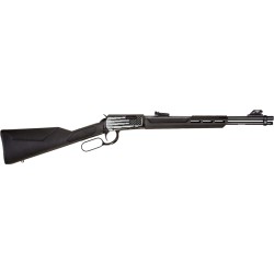 ROSSI RIO BRAVO 22WMR LEVER