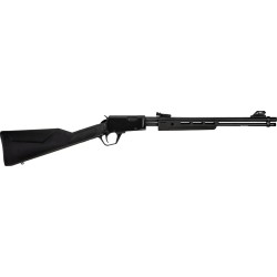 ROSSI GALLERY  22LR PUMP