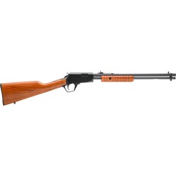 ROSSI GALLERY  22LR PUMP