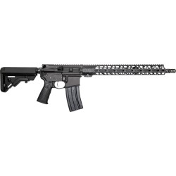 BATTLE ARMS WORKHORSE RIFLE
