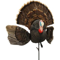 MOJO SCOOT N SHOOT MAX TURKEY