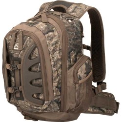 INSIGHTS THE ELEMENT DAY PACK