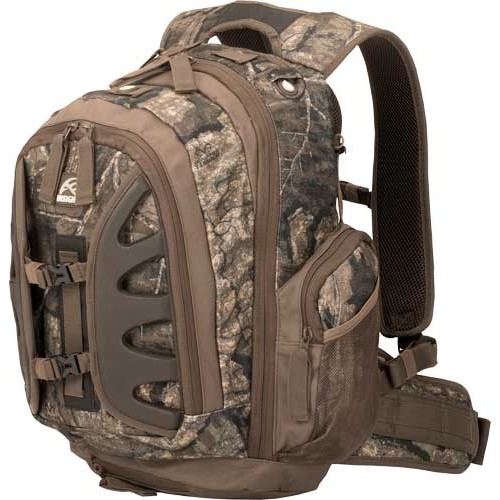 INSIGHTS THE ELEMENT DAY PACK
