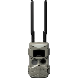 CUDDEBACK TRAIL CAM TRACKS