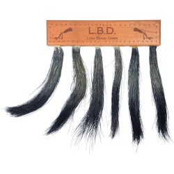 PITTMAN GAME CALLS LONG BEARD