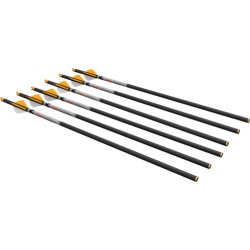 RAVIN XBOW ARROW CARBON R500