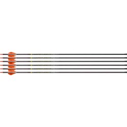 VICTORY ARCHERY RIP TKO ELITE