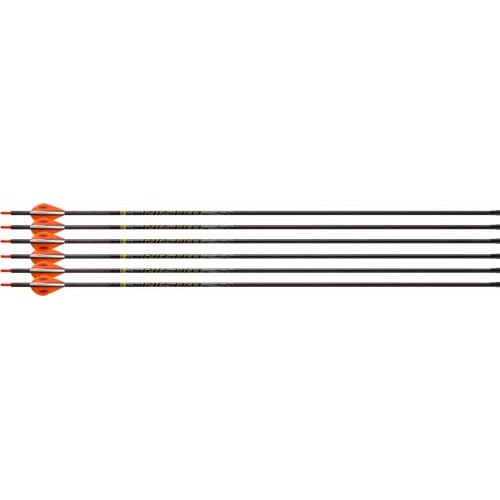 VICTORY ARCHERY RIP TKO ELITE