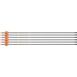 VICTORY ARCHERY VAP TKO ELITE