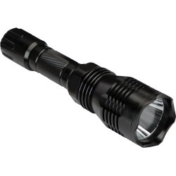CYCLOPS VARMINT LIGHT GREEN/
