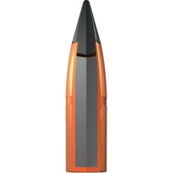 WINCHESTER DEER XP 300 WSM