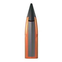 WINCHESTER DEER XP 308 WIN
