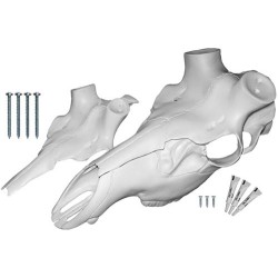 MOUNTAIN MIKE'S ELK SKULL
